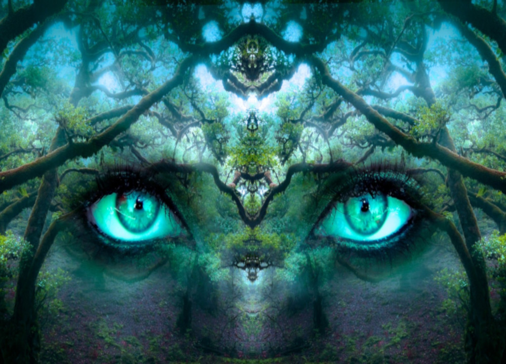 Klątwa wiedzy – problem ludzi wiedzących